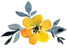 A flower